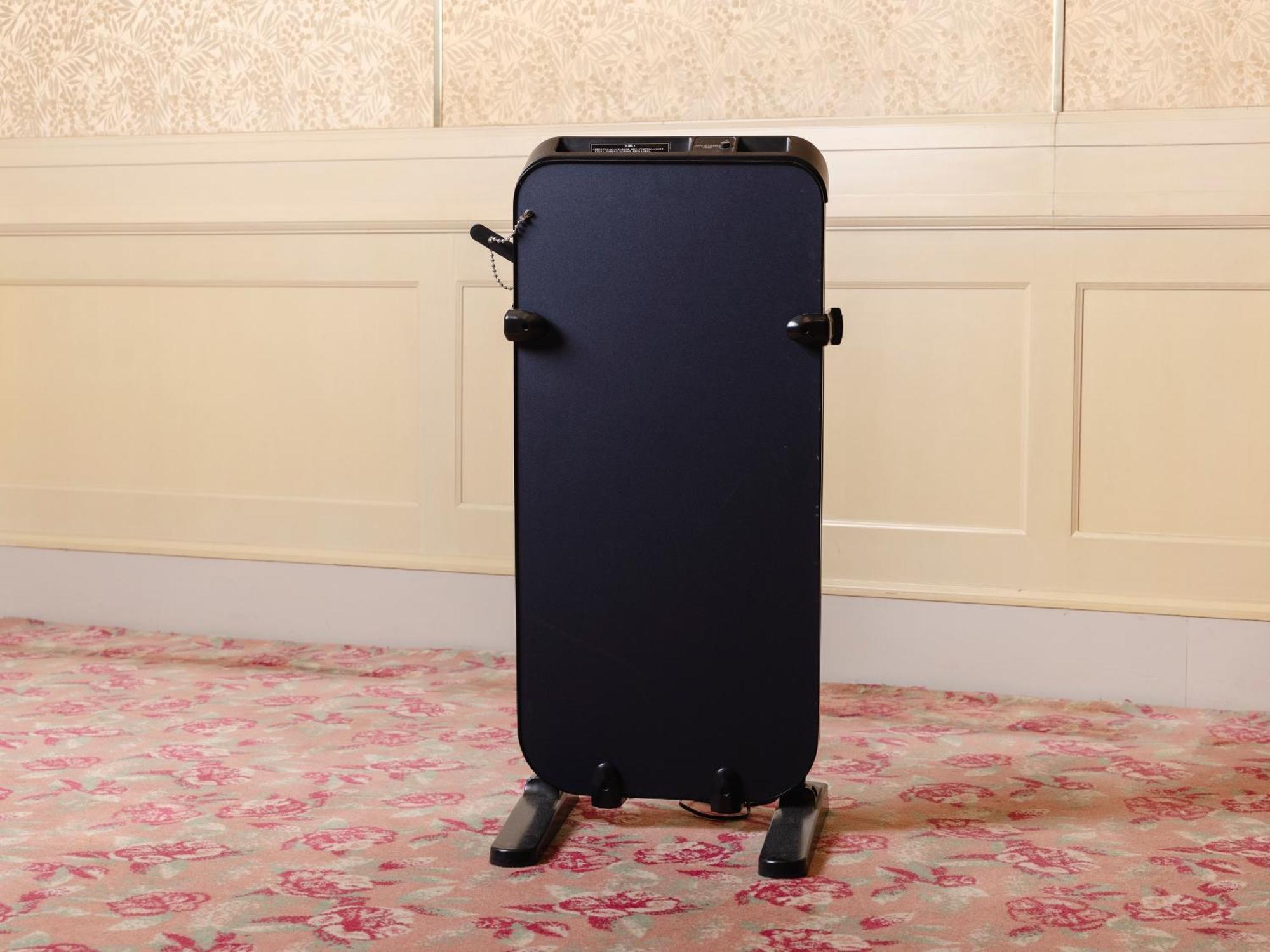 Tsubamesanjo Washington Hotel Экстерьер фото